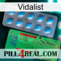 Vidalist new03